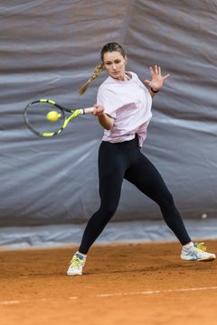 Bild 474 - HL THC von Horn und Hamm - Marienthaler THC : Ergebnis: 5:1